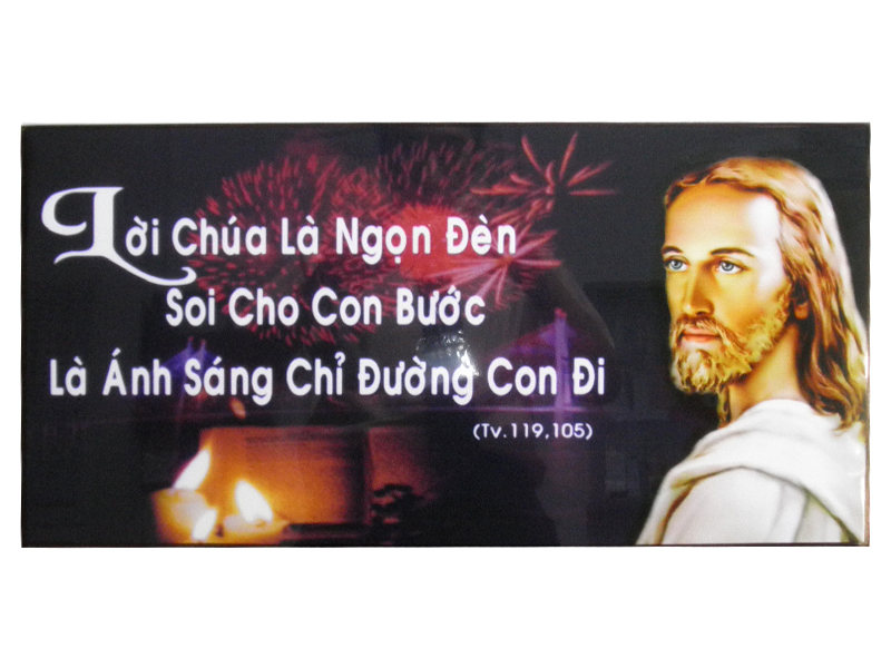 246. AB+ chữ cd.Chúa nghiêng 