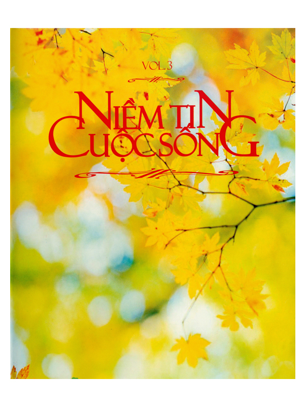 24. CD  niềm tin cuộc sống vol.3*