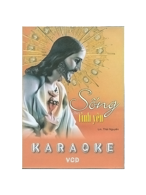 20. VCD karaoke 