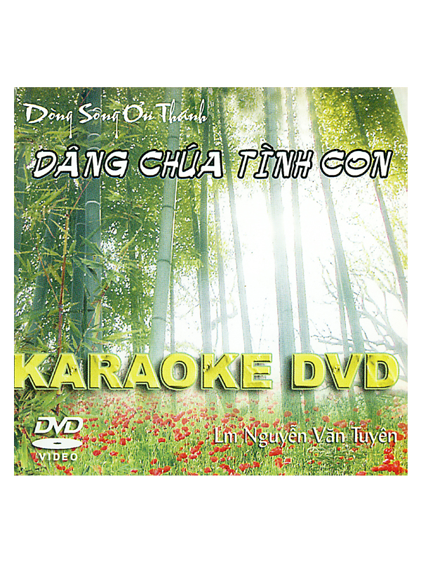 27. DVD karaôkê 