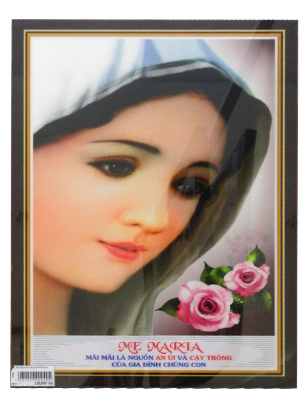 212. AB Đức Mẹ hoa hồng (40*60)cm